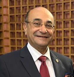 Photo of Prof. Dr. Maher Fawzy
